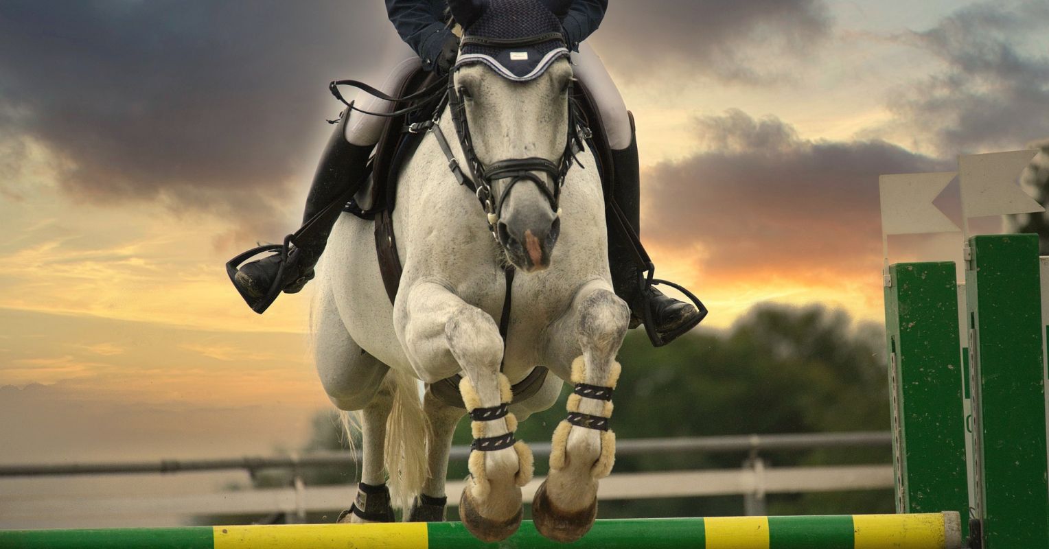 "Gentle Parenting" Helps Neurodivergent Kids Psychology Today New Zealand